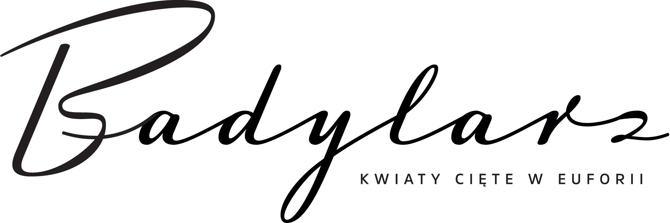 badylarz-kwiaciarnia-lodz