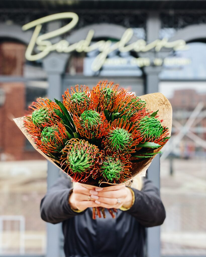 Leucospermum_2