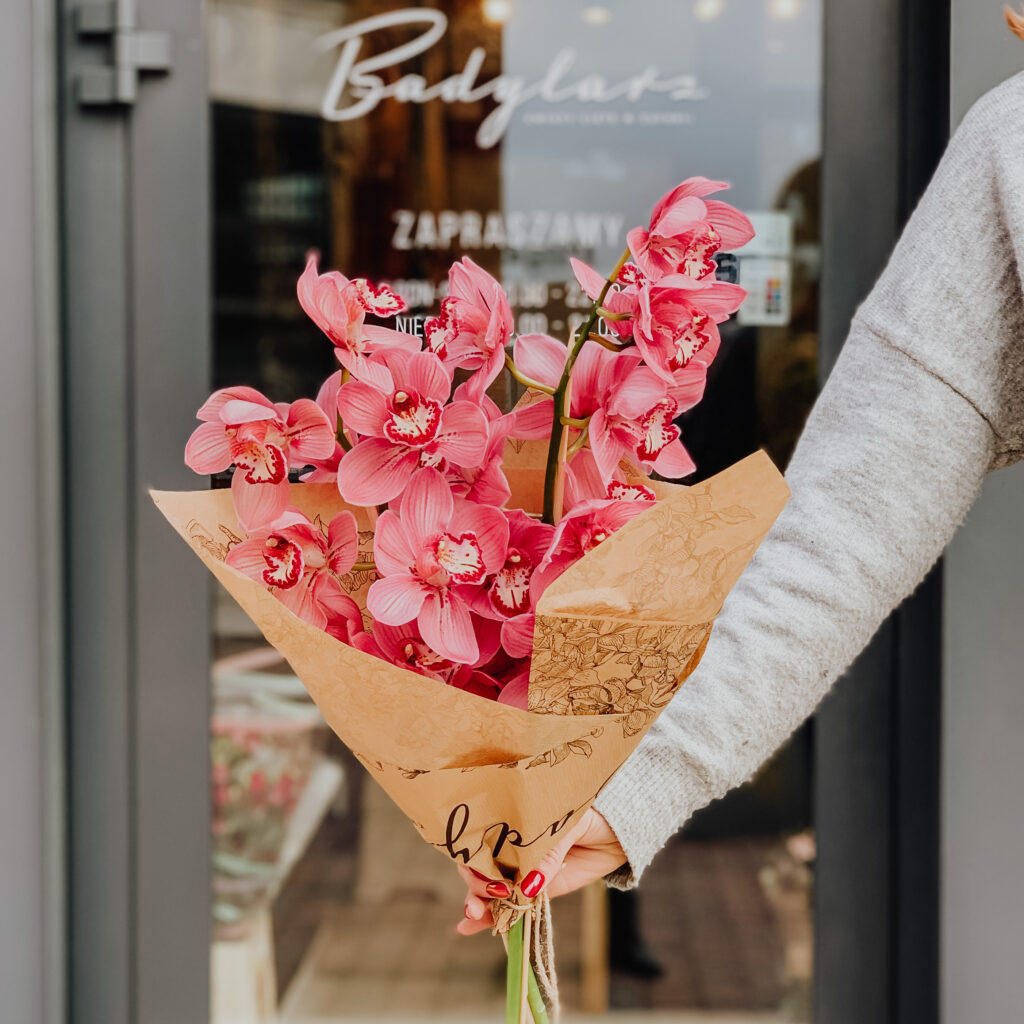 Cymbidium