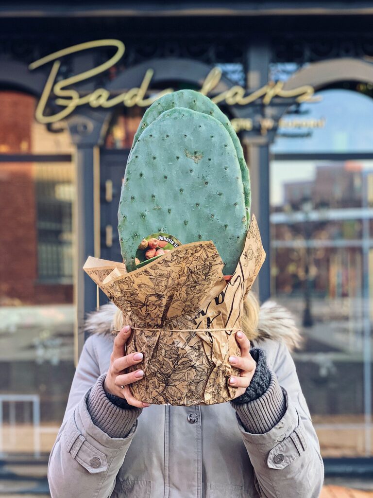Opuntia_ficus_Indica